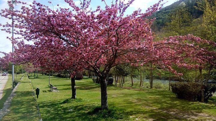Apartamentos La Demanda Ezcaray Dış mekan fotoğraf